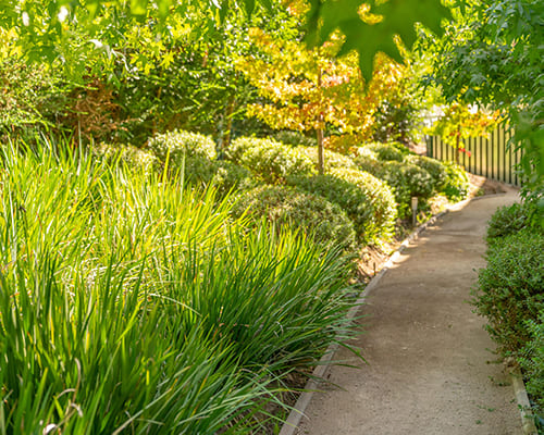 Residencia Adulto Mayor